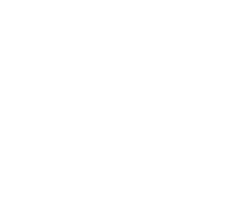 Danni Efraim logo