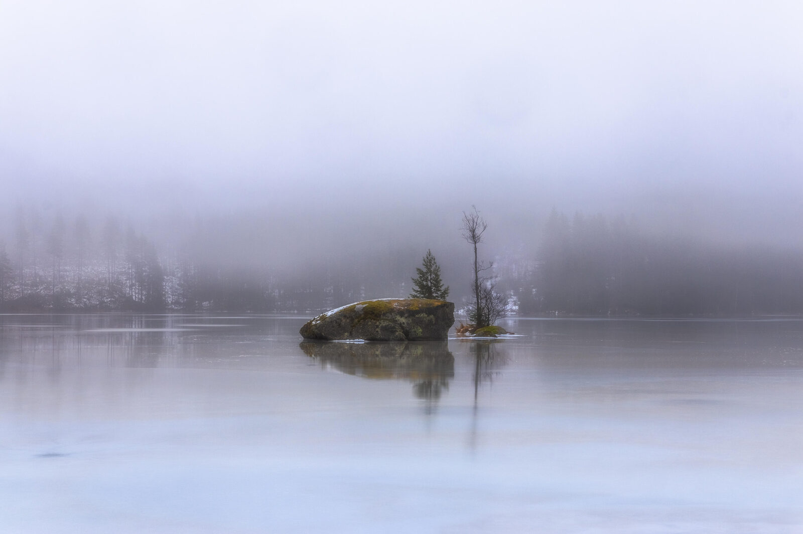 Foggy Christmas morning