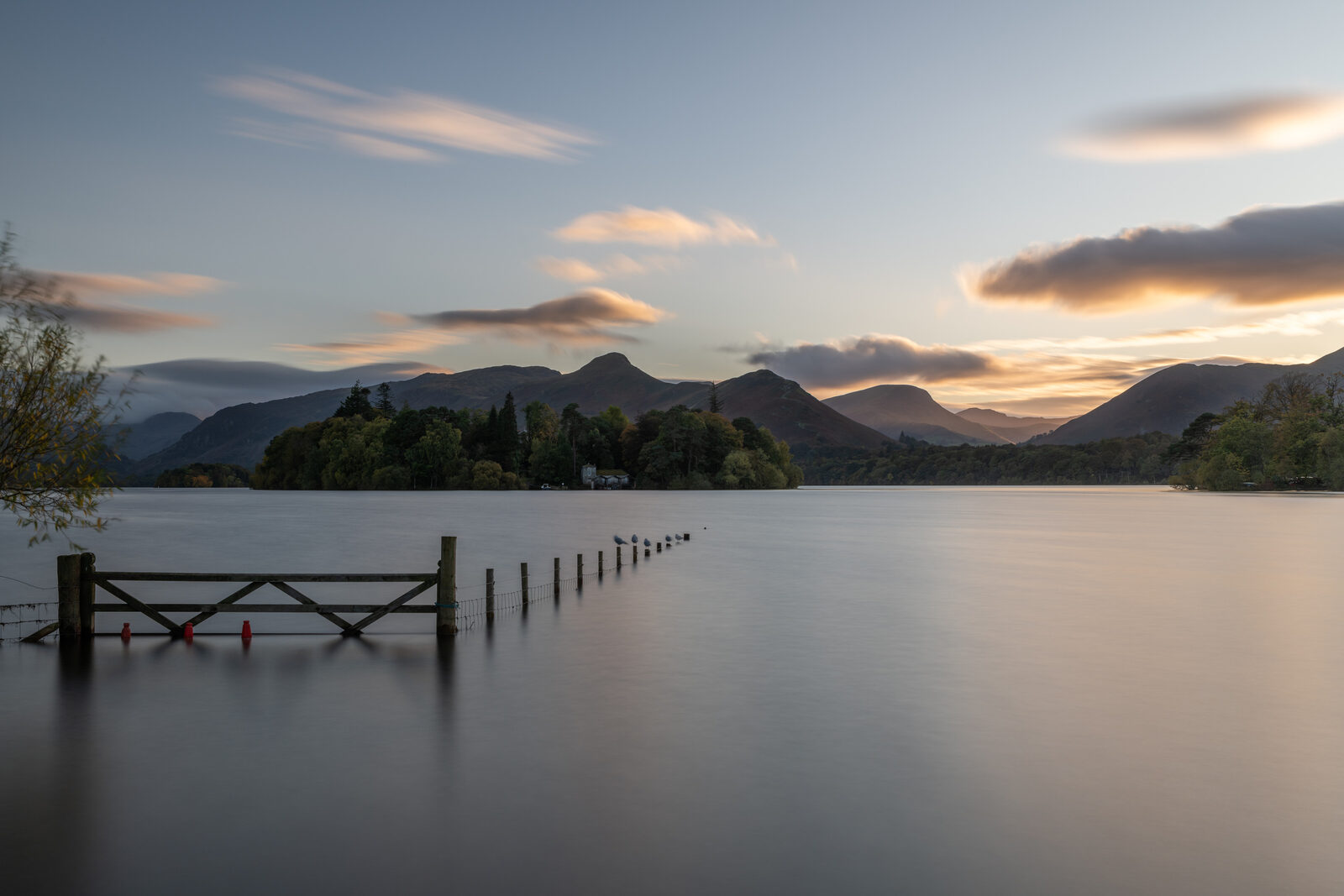 A gate standing in Derwentwater at dusk, gulls on the fence posts
